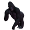 Gorilla PNG Image