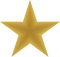 Gradient Point Star PNG