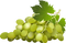 Grape Free PNG Image