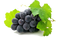 Grape PNG HD