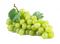 Grape Transparent