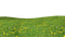 Grass Download PNG