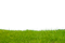 Grass Free Download PNG