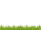 Grass PNG File