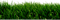 Grass PNG Picture