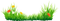 Grass PNG