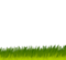 Grassland PNG Free Download