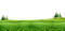 Grassland PNG Transparent HD Photo