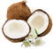 Grated Coconut PNG Clipart