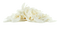 Grated Coconut PNG High Quality Image