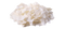 Grated Coconut PNG Pic