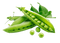 Green Beans PNG Download Image