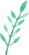 Green Leaf PNG File