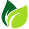 Green Leaf PNG Free Image