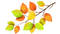 Green Leaf PNG Picture