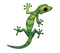 Green Lizard PNG Clipart