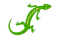 Green Lizard PNG