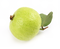 Guava Free Download PNG