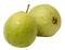 Guava PNG File