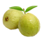 Guava PNG HD