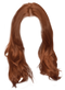 Hair PNG 6