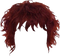 Hairstyles PNG File