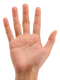 Hands PNG 3