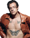 Harry Edward Styles PNG Pic