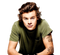 Harry Styles PNG Free Download