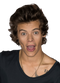 Harry Styles PNG Pic