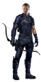 Hawkeye PNG File