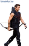 Hawkeye Transparent