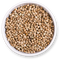 Hemp Seeds High Quality PNG