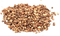 Hemp Seeds PNG Picture