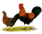 Hen PNG Image HD