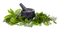 Herb High Quality PNG