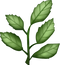 Herb PNG Clipart