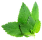 Herb PNG File Download Free