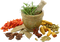 Herb PNG Photo