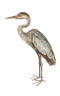 Heron PNG Images