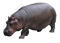 Hippo PNG Clipart