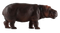 Hippo PNG Free Download