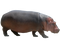 Hippopotamus Free PNG Image