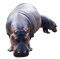 Hippopotamus Transparent