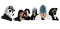 Hollywood Undead Transparent