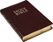 Holy Bible PNG