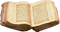 Holy Book PNG Pic