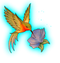 Hummingbird Tattoos PNG HD