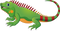 Iguana PNG HD Image