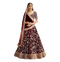 Indian Bride PNG